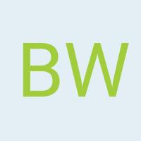 Avatar Brigitta Watzka